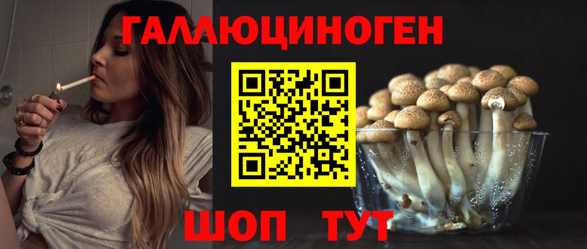 Галлюциногенные грибы Cubensis Брянск