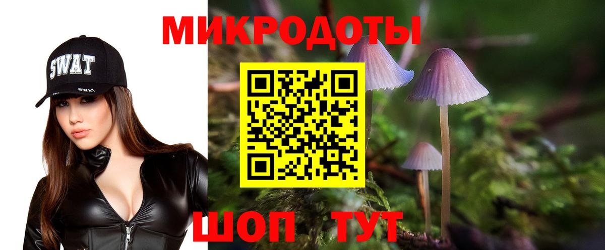 Брянск  дарнет шоп  Вход с VPN  Галлюциногенные грибы MAGIC MUSHROOMS 