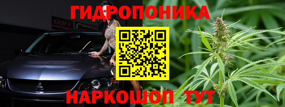 Бошки марихуана план Брянск