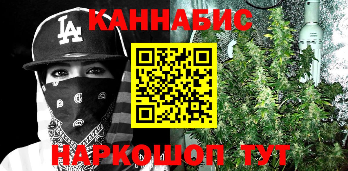 Брянск  Канабис OG Kush  Вход с VPN  Конопля план 